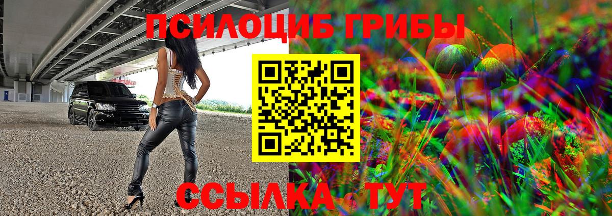 Псилоцибиновые грибы MAGIC MUSHROOMS Каменск-Уральский
